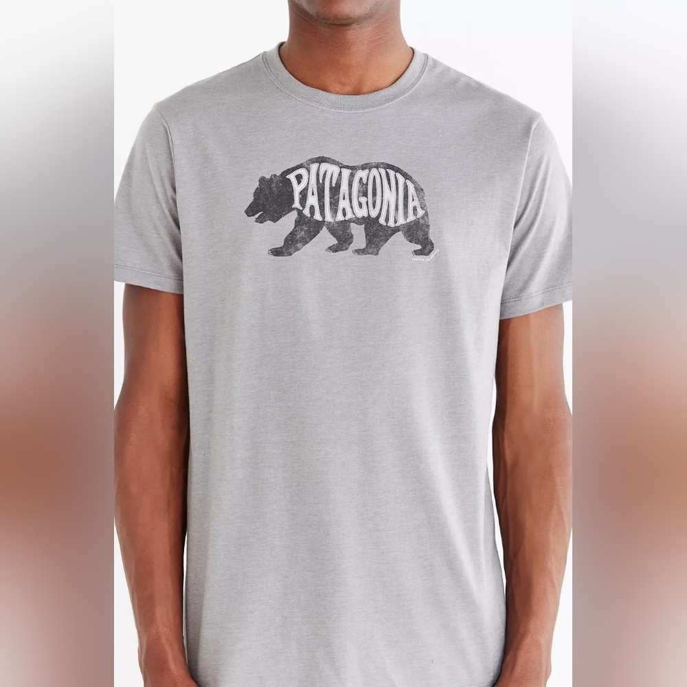 Patagonia Bear Heaven Tee